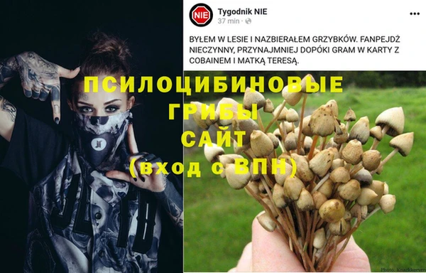 Альфа ПВП Абдулино