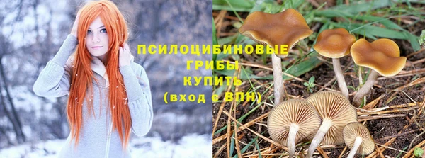 мет Абаза