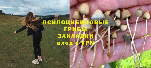 Альфа ПВП Абдулино