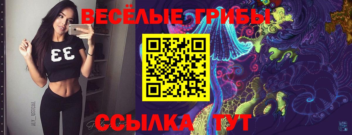 Сальск  Галлюциногенные грибы Psilocybine cubensis  Вход с VPN 