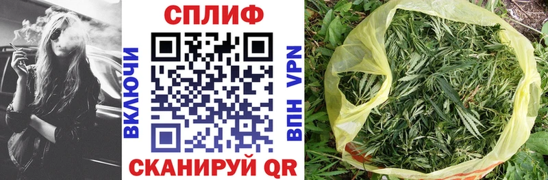 Бошки марихуана планчик  Сальск 